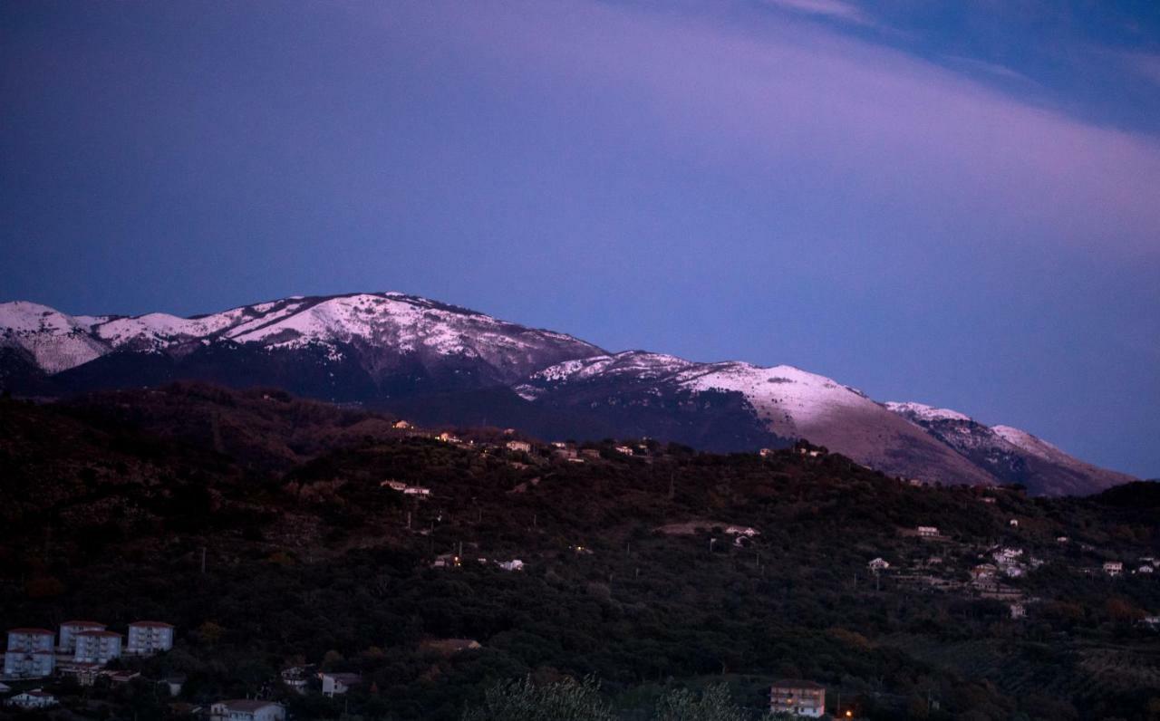 Le Voyageur Cilento Bed & Breakfast วิโบนาติ ภายนอก รูปภาพ